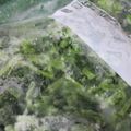 karimero54's cooksnap of when they made 使える♪大根葉っぱの保存.