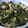 karimero54's cooksnap of when they made 簡単！大根の葉の炒め煮.
