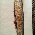 ﾌﾞﾚﾝﾀﾞ's cooksnap of when they made 〰魚屋さんから教わった秋刀魚の塩焼き〰.