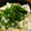 kaoran620's cooksnap of when they made 自分流！！簡単おいしい博多もつ鍋.