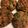 ＊にょにょん＊'s cooksnap of when they made しいたけの肉詰め.