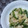 みがつくひと's cooksnap of when they made 簡単♡ヘルシーささみもやしピーマン炒め.