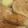 りーとぽん's cooksnap of when they made がんもどき、冬瓜、人参、茄子の煮物.
