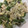 余麩胡's cooksnap of when they made めんつゆで簡単！ピーマンと豚肉の卵炒め.