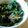 クックO09010☆'s cooksnap of when they made シンプルでも美味しいほうれん草の胡麻和え.