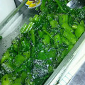 あおちゃん's cooksnap of when they made つるむらさきのナムル.