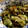 フォレスト☆'s cooksnap of when they made みょうがときゅうりの簡単和え物.