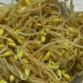 クック8W4H9J☆'s cooksnap of when they made レンジで簡単♪豆もやしのナムル.