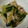 miyarobo's cooksnap of when they made 小松菜と豚こまの煮物.