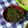 はなしま's cooksnap of when they made ご飯がすすむ♪ピーマン大量消費の副菜！.