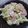 とんがらし★'s cooksnap of when they made 大根サラダ☆簡単.