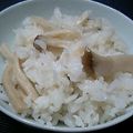 riha's cooksnap of when they made エリンギで松茸ごはん☆もどき？.