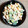 きみだんごママ's cooksnap of when they made ピーマンと大豆のワサビマヨネーズ和え♪.