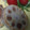 ちょこのまる's cooksnap of when they made 蓮根の挟み焼き.