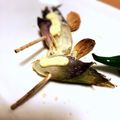 Sac’HiNa's cooksnap of when they made 簡単おつまみ☆焼きみょうが☆.