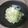＊coron＊'s cooksnap of when they made 千切りキャベツだけのアーリオオーリオ.