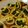チャトラン's cooksnap of when they made 簡単！あっという間にイカキャベツ！！.