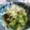 ＴＯＭＯＷＡＴ's cooksnap of when they made 四角豆のお浸し.