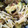 クックA43M15☆'s cooksnap of when they made なすともやし、牛肉の炒めもの.