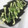 とら＆とららのママ's cooksnap of when they made 『何か少し、欲しい』ときに、海苔葱マヨ❀.