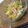 りえ亭's cooksnap of when they made 一度食べて！そうめんかぼちゃの中華サラダ.
