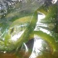 HRMhiromi's cooksnap of when they made 常備菜◎ゴーヤの煮浸し.