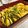 ホムスの家's cooksnap of when they made かぼちゃとエリンギのローズマリーグリル.
