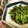 ☆Rokko☆'s cooksnap of when they made 簡単大根葉炒め.