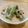 mayuyuキッチン's cooksnap of when they made マッシュルームのおかずランチスープ。.