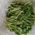 ♡Coco95♡'s cooksnap of when they made 豆苗ＤＥ麺つゆ常備菜☆.