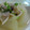 うーちゃん☆'s cooksnap of when they made 大根と豚ばら肉のコクうま煮.