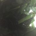 ma___111's cooksnap of when they made レンチンで簡単 ニラのナムル風.