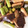 クックY5HUES☆'s cooksnap of when they made 簡単おいしいな椎茸ソーセージのバター醤油.