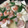 genyamama's cooksnap of when they made ほっこり優しい味☆豆腐とエビの中華炒め.