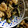 猫のミイヤ's cooksnap of when they made 鶏肉となすの中華みそ炒め.