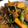 クックSF5XHV☆'s cooksnap of when they made 南瓜は万能野菜！南瓜のそぼろ炒め.