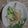 迦楼羅's cooksnap of when they made ミミガーと胡瓜の中華あえ.