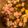 クックS7HWTB☆'s cooksnap of when they made キノコのアヒージョ（ニトスキ15㎝）.