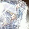 オロロンライン's cooksnap of when they made 秋刀魚のお刺身☆無駄なし超簡単な捌き方.