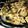 クックXGX8MJ☆'s cooksnap of when they made ししとうとナスの挽肉炒め.