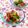 ｍａｒｉ♪'s cooksnap of when they made トマトとアボカドの簡単サラダ.
