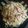 Ｍぱん's cooksnap of when they made 我が家のあんかけ焼きそば！人気レシピ！.