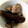 nyanyao703's cooksnap of when they made 茄子と豚肉の煮浸し.