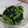terakooo's cooksnap of when they made 小松菜としめじのおひたし.