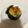 クックBS77TC☆'s cooksnap of when they made 坊っちゃんかぼちゃの♥まるごとグラタン.