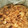 ☆★chise★☆'s cooksnap of when they made もち米たっぷりの炊き蒸かし.