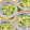ふたごゆき's cooksnap of when they made もやしときゅうりのごま酢和え☆.