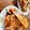 クックXWD922☆'s cooksnap of when they made 簡単フレンチトースト.