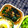 nosso's cooksnap of when they made 麺つゆで簡単☆切干しとワカメのピリ辛炒め.