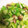 ☆マカロンmama☆'s cooksnap of when they made キャベツとオクラの簡単ヘルシー炒め♪.